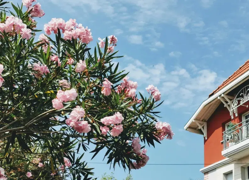 House in Arcachon