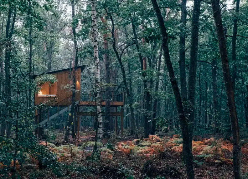 ecolodges seminário