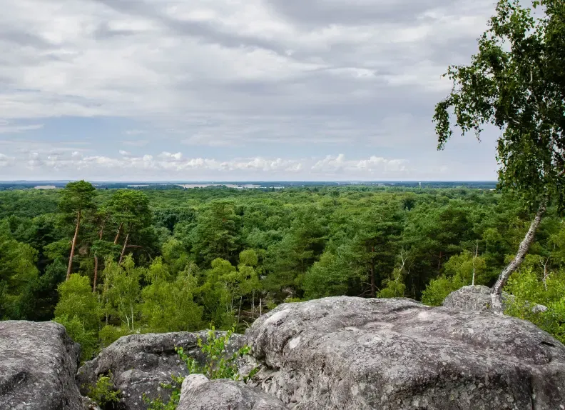 Seminar im Wald von Fontainebleau