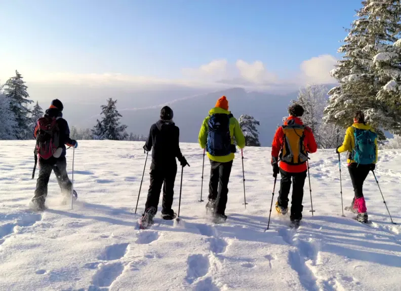 Mountain Team Building