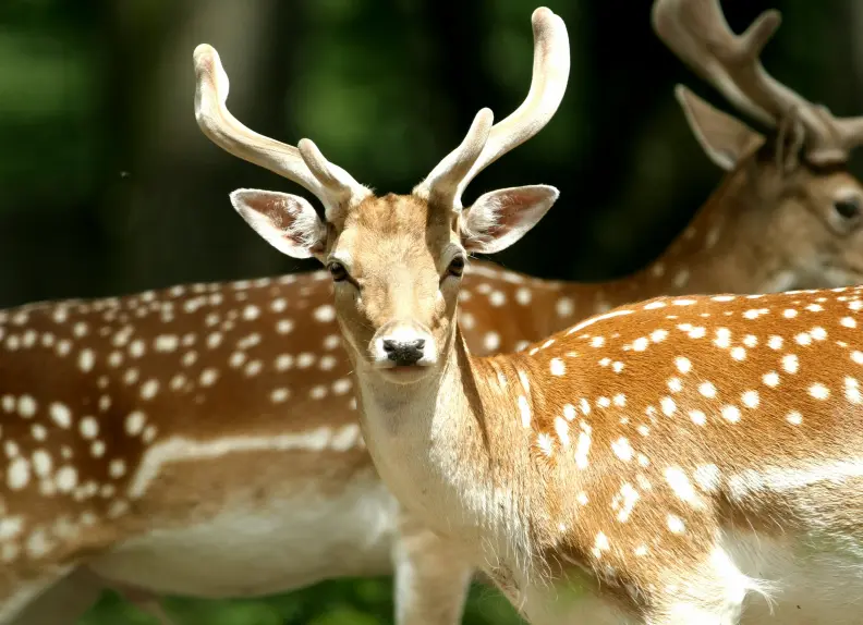Faire des randonnées au vert près de Rouen