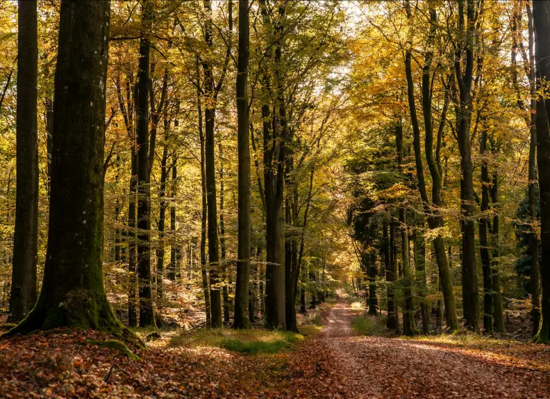 Ville proche de Paris pour un séminaire au vert