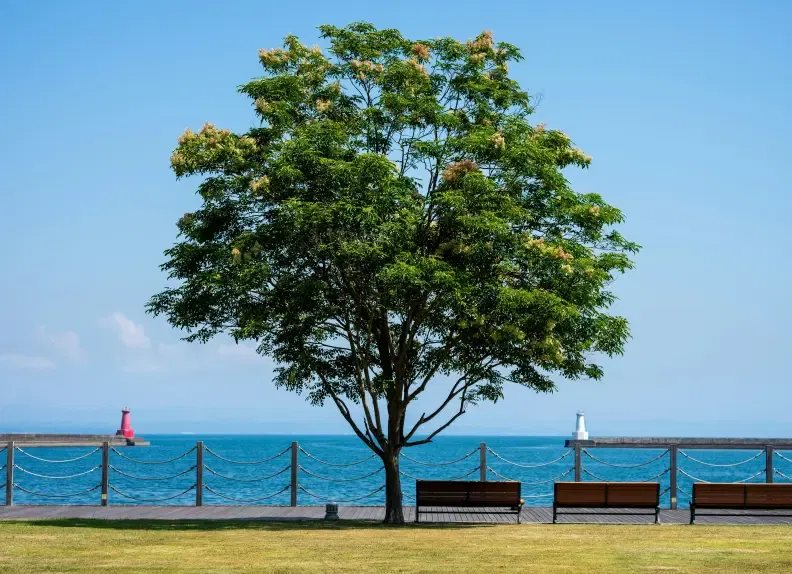 going to the seaside for your summer seminar