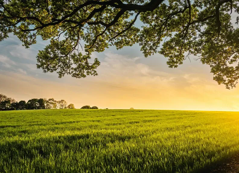 La campagne pour un lieu au vert