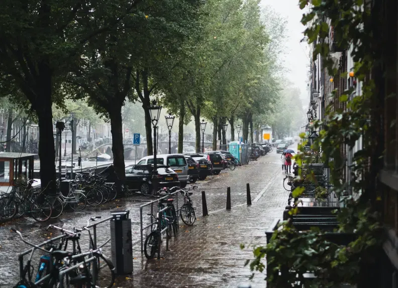 Lille sous la pluie