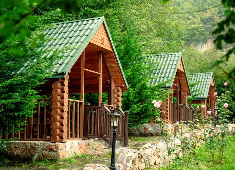 Forest chalets