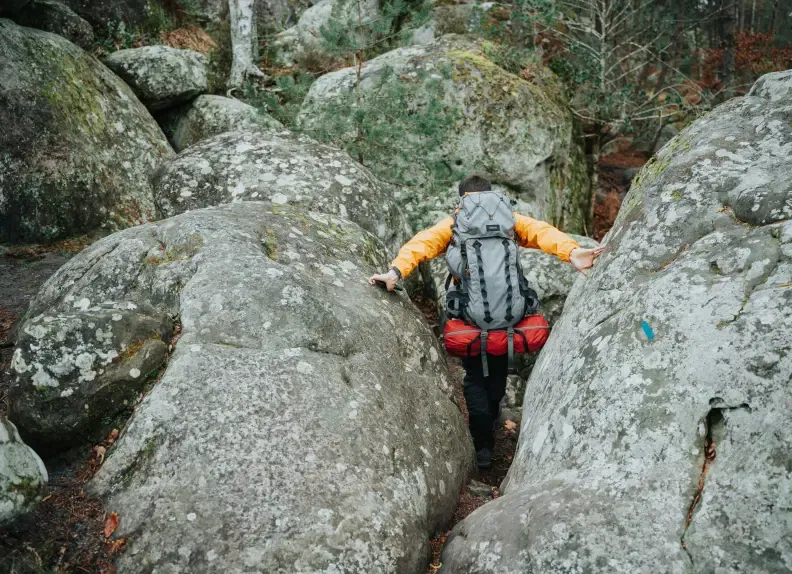 randonnée dans la foret de Fontainebleau