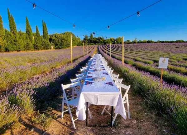 Terre Ugo Maison de Lavande, Espace événementiel, Aix-en-provence, Provence-Alpes-Côte d'Azur, France