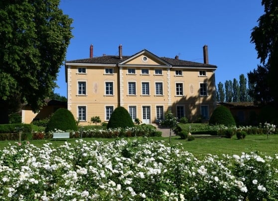 Domaine de Chavagneux, Château / Domaine, Genouilleux, France