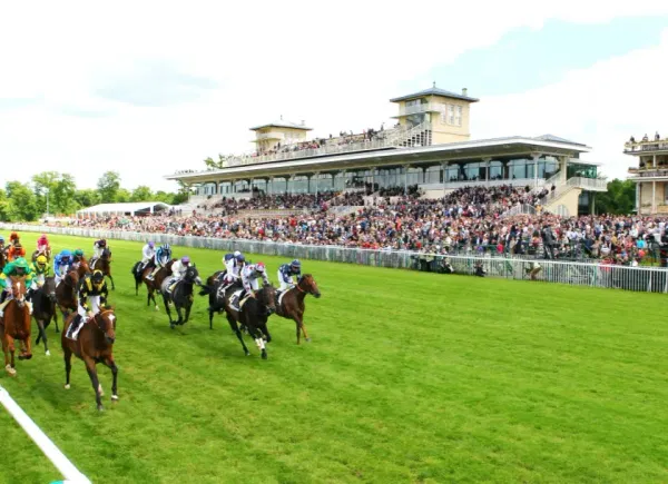 Hippodrome de Chantilly, Salle de spectacle, Chantilly, Hauts-de-France, France