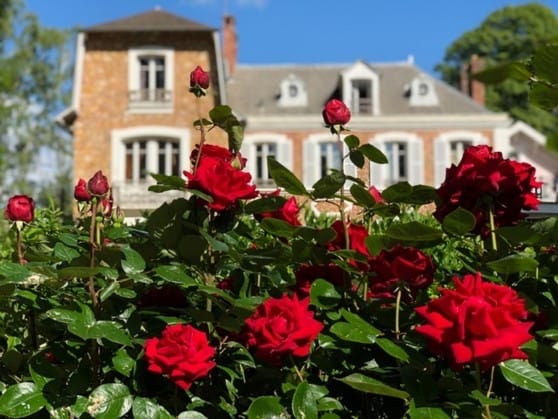 La Villa Rochette, Villa / Maison, Forges-les-Bains, Île-de-France, France