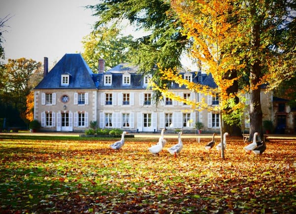 Château de Bouthonvilliers, Château / Domaine, Dangeau, France
