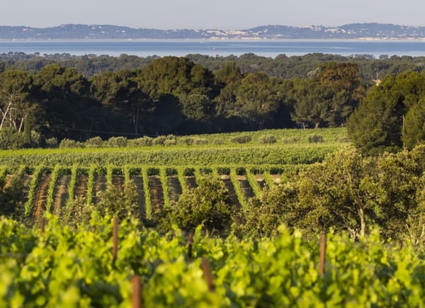 Figuière, Château / Domaine, La-Londe-les-Maures, France