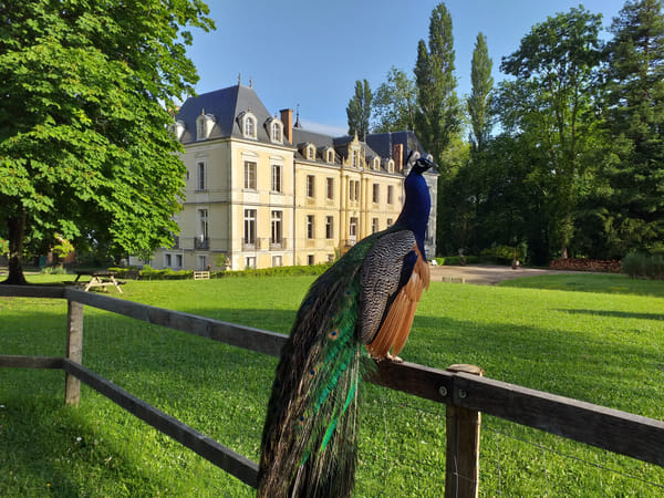 Château de Ouézy, Ferme / Gite, France