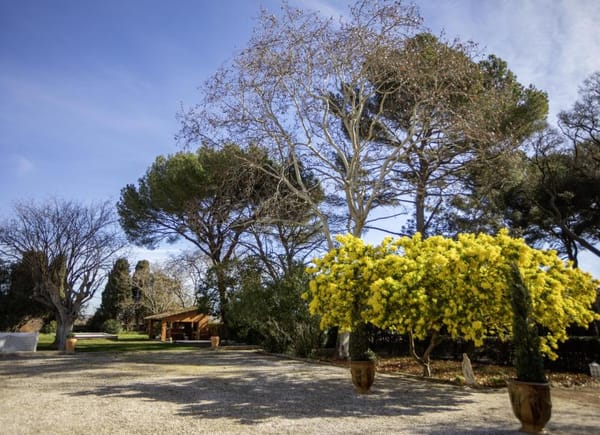 Domaine Saint André, Château / Domaine, Meze, France
