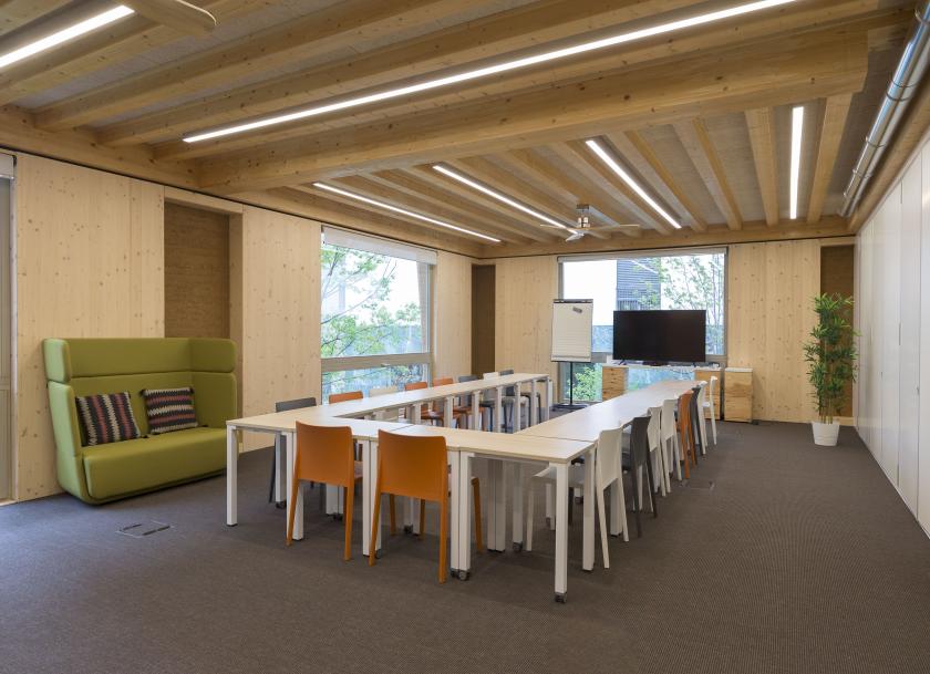 Focus L'Orangerie, Salle de réunion, Lyon, Auvergne-Rhône-Alpes, France