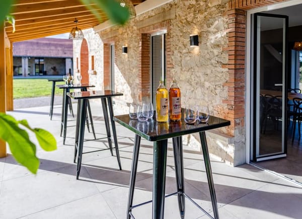Château de Tauzies, Hôtel 4*, Gaillac, France