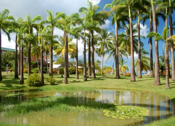 Hôtel Bakoua****, Hôtel 4*, Les Trois-Îlets, Martinique