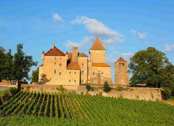 Château de Pierreclos, Château / Domaine, France