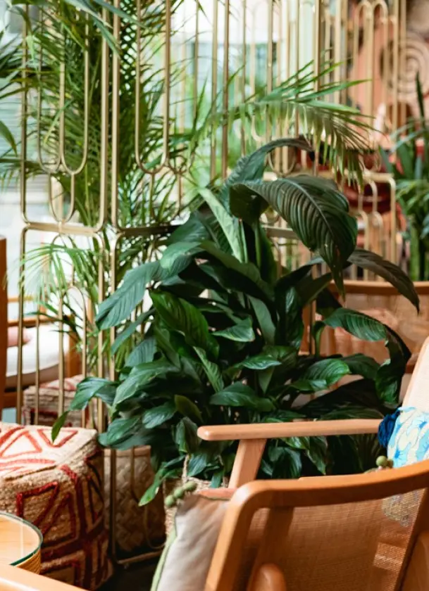 SOLIS BAR & RESTAURANT, Hôtel 5*, Paris, Île-de-France, France