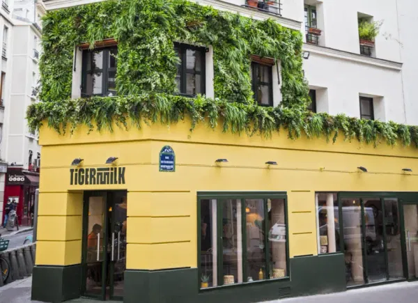 Tigermilk South Pigalle, Restaurant, Paris, Île-de-France, France