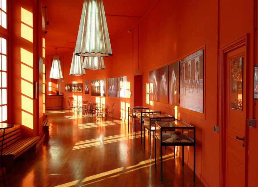 Académie  Équestre de Versailles, Musée / Galerie, France