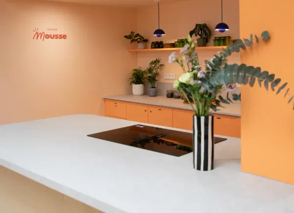 Maison Mousse, Villa / Maison, Nantes, Pays de la Loire, France
