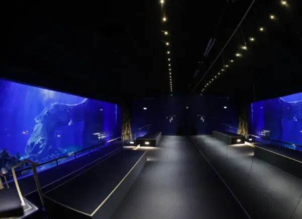 Aquarium de Canet-en-Roussillon, Autre, Canet-en-Roussillon, Occitanie, France