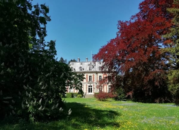 Château et Orangerie de Châtenay, Restaurant, Châtenay-en-France, Île-de-France, France