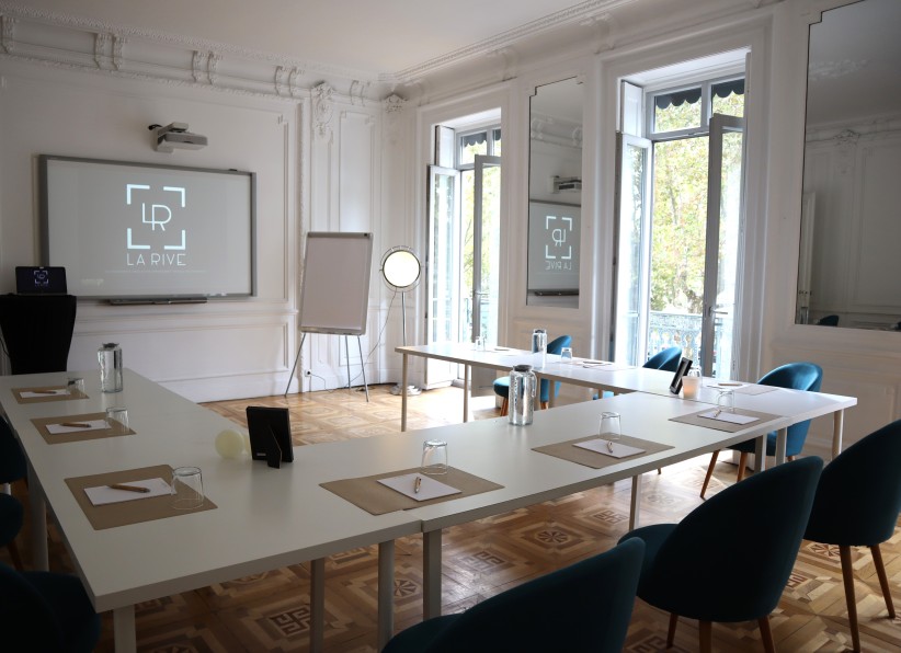 La Rive Lyon, Loft / Appartement, France