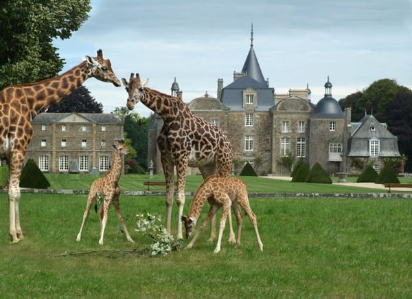 Domaine de la Bourbansais, Salle de réunion, Pleugueneuc, Bretagne, France