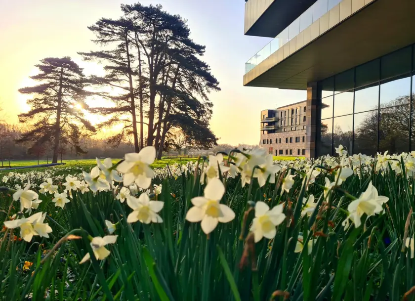 Maubreuil Séminaires, Centre d'affaires, Carquefou, France