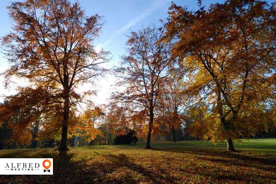 Domaine des Roches ****, Briare, France