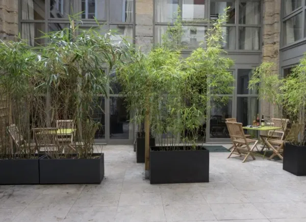 L'Imprimerie du Second, Restaurant, Lyon, Auvergne-Rhône-Alpes, France