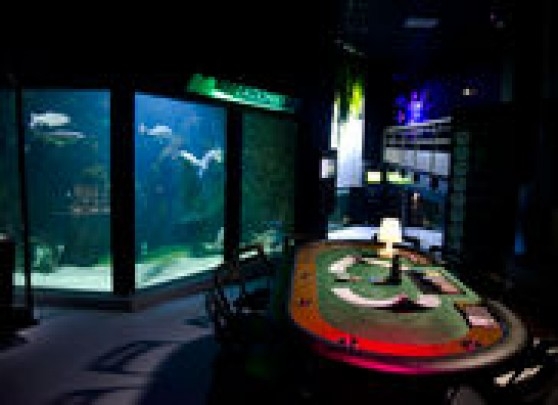 Aquarium de Lyon, Espace Culturel / Artistique, La-Mulatière, France