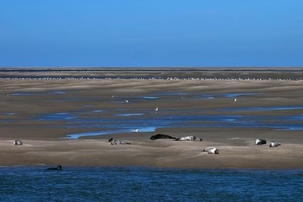 Photo de la baie de Somme