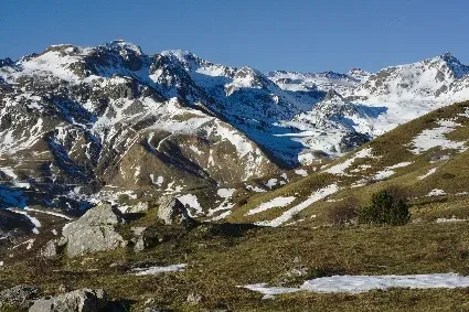 pyrenees