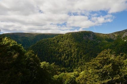 vosges