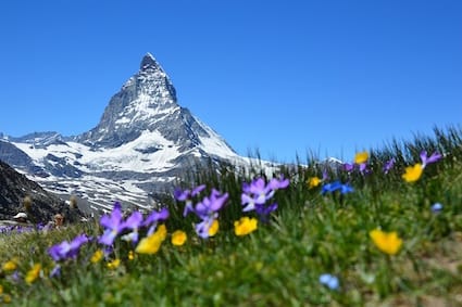 The Alps showcasing a grand panoramic view