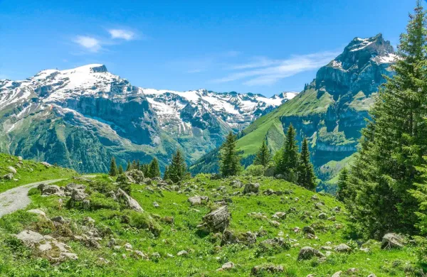 Photo des Alpes offrant un panorama grandiose