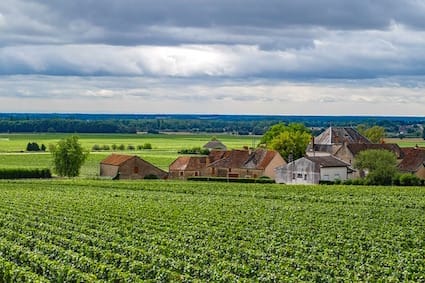 Burgundy, a peaceful wine region