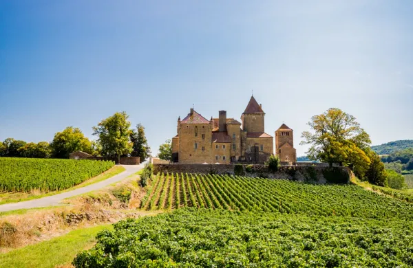 Photo de la Bourgogne, région viticole et paisible