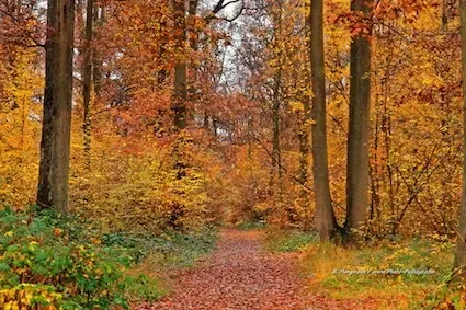 Photo de l’Oise, région verdoyante proche de Paris