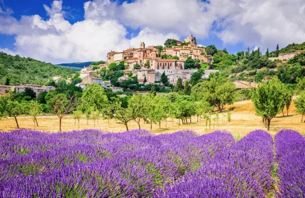 Photo de la Provence avec ses champs de lavande